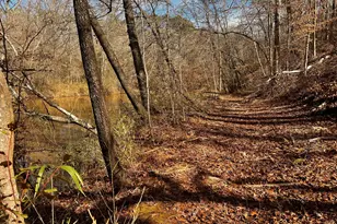 1918 Woodland Rd, Thomaston, GA 30286 - Photo 68