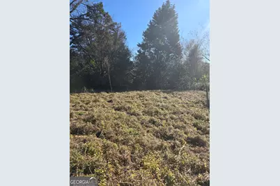 1 Main Street, Register, GA 30452 - Photo 1