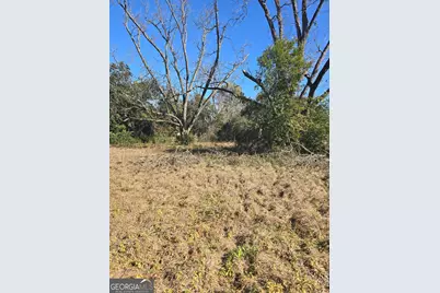 1 Main Street, Register, GA 30452 - Photo 4