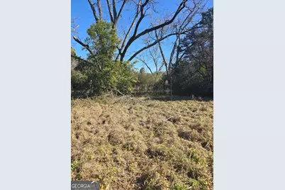 1 Main Street, Register, GA 30452 - Photo 2