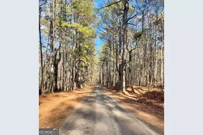 0 Padgett Road #LOT 9 FAYETTE PADGETT 14, Senoia, GA 30276 - Photo 2
