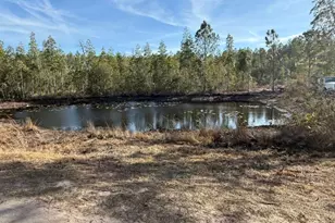 72 Hawks Pl, Waynesville, GA 31566 - Photo 12