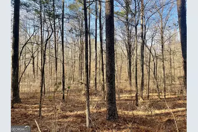 0 Padgett Road #LOT 10, Senoia, GA 30276 - Photo 4