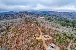 1083 Synacia Dr, Mineral Bluff, GA 30559 - Photo 64