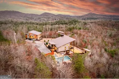 1083 Synacia Drive, Mineral Bluff, GA 30559 - Photo 44