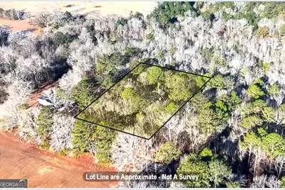 0 Byrd Hill Drive, Dudley, GA 31022 - Photo 4