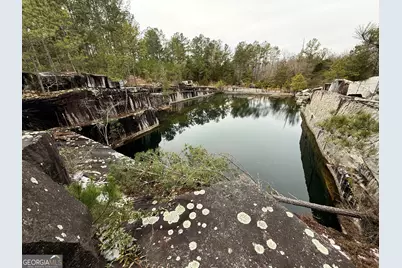 0 Veribest Road, Carlton, GA 30627 - Photo 6