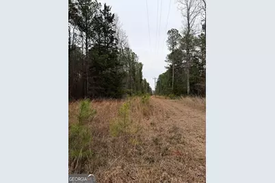 0 Veribest Road, Carlton, GA 30627 - Photo 4