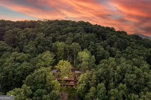 281 Raintree Bend, Blue Ridge, GA 30513 - Photo 54