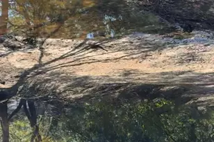 1564 Joy Bluff Rd, Reidsville, GA 30453 - Photo 22