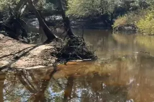 1564 Joy Bluff Rd, Reidsville, GA 30453 - Photo 24