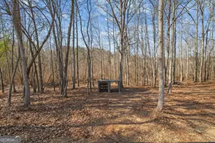 313 Stonecrest Dr, Carrollton, GA 30116 - Photo 52