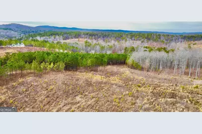 268 Highgrove Drive, Talking Rock, GA 30175 - Photo 12