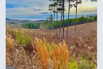 268 Highgrove Drive, Talking Rock, GA 30175 - Photo 10