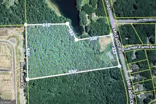 3145 Mt Tabor Church Rd, Dallas, GA 30157 - Photo 2