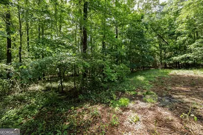 500 Kingston Road, Colbert, GA 30628 - Photo 44