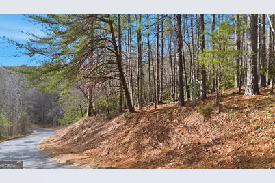 465 Yates Circle, Clarkesville, GA 30523 - Photo 2