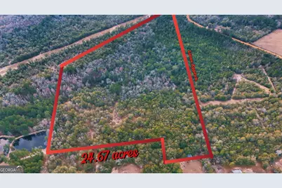 0 Lovely Grove Church Road, Eastman, GA 31023 - Photo 2