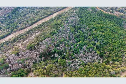 0 Lovely Grove Church Road, Eastman, GA 31023 - Photo 6