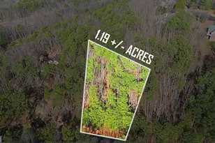 765 Plum Ln, Clarkesville, GA 30523 - Photo 1