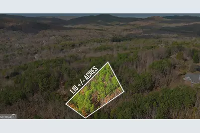 765 Plum Lane #LOT 765, Clarkesville, GA 30523 - Photo 6