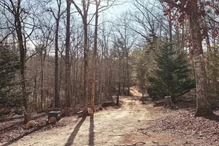 1857 Tugalo Village Rd, Clarkesville, GA 30523 - Photo 28