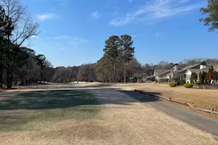 117 Masters Dr N, Peachtree City, GA 30269 - Photo 46