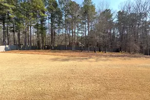 328 Cinnamon Bark Pass, Locust Grove, GA 30248 - Photo 52