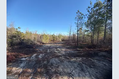 ----- Sr 19, Dublin, GA 31021 - Photo 8