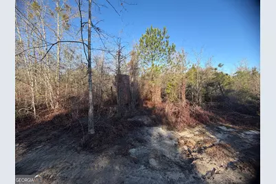 ----- Sr 19, Dublin, GA 31021 - Photo 18