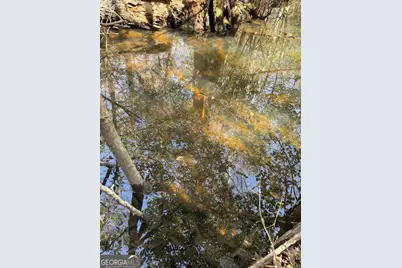 ----- Sr 19, Dublin, GA 31021 - Photo 24
