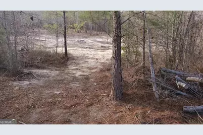----- Sr 19, Dublin, GA 31021 - Photo 16