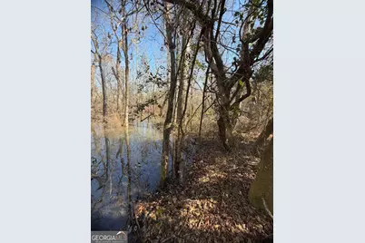 ----- Sr 19, Dublin, GA 31021 - Photo 30