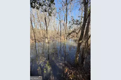 ----- Sr 19, Dublin, GA 31021 - Photo 30