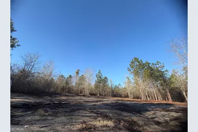 ----- Sr 19, Dublin, GA 31021 - Photo 8