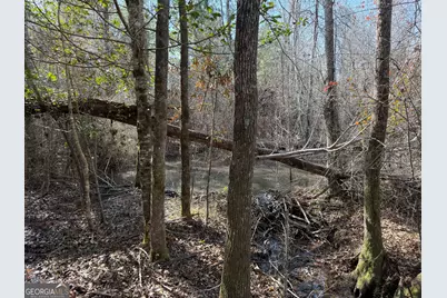 ----- Sr 19, Dublin, GA 31021 - Photo 22