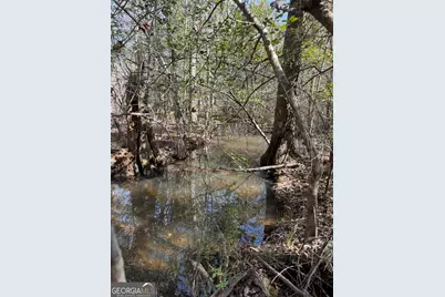 ----- Sr 19, Dublin, GA 31021 - Photo 26