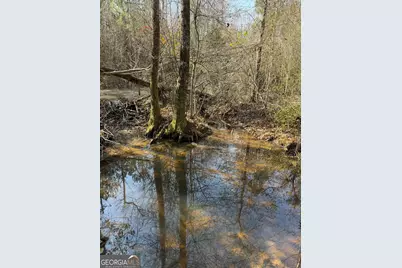 ----- Sr 19, Dublin, GA 31021 - Photo 24