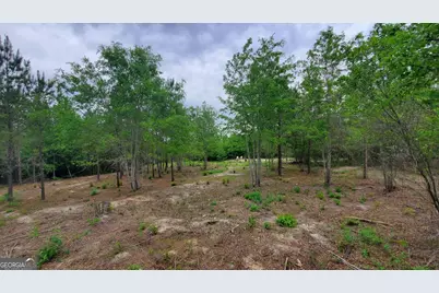 ----- Sr 19, Dublin, GA 31021 - Photo 4