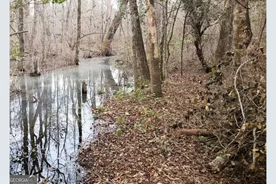 ----- Sr 19, Dublin, GA 31021 - Photo 20