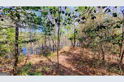 ----- Sr 19, Dublin, GA 31021 - Photo 2