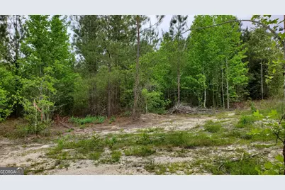 ----- Sr 19, Dublin, GA 31021 - Photo 2