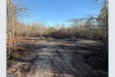 ----- Sr 19, Dublin, GA 31021 - Photo 4