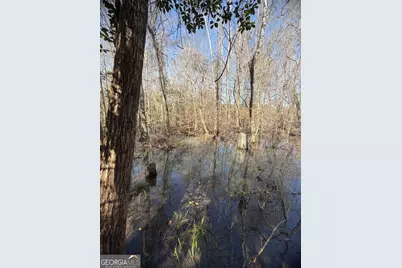 ----- Sr 19, Dublin, GA 31021 - Photo 28