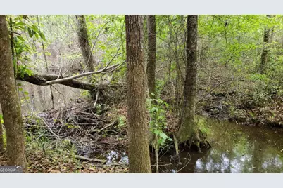----- Sr 19, Dublin, GA 31021 - Photo 10