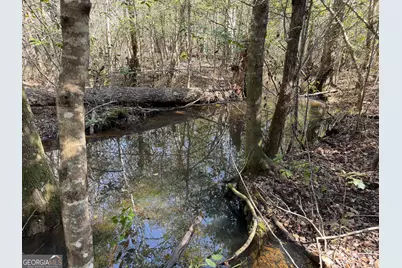 ----- Sr 19, Dublin, GA 31021 - Photo 26
