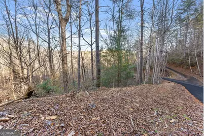 0 River View Lot 12 Trail W, Dahlonega, GA 30533 - Photo 18