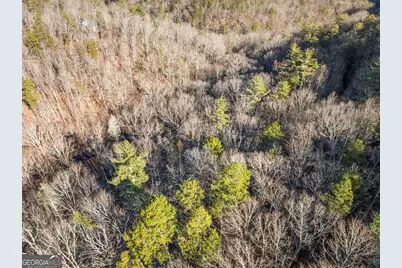 0 River View Lot 12 Trail W, Dahlonega, GA 30533 - Photo 38