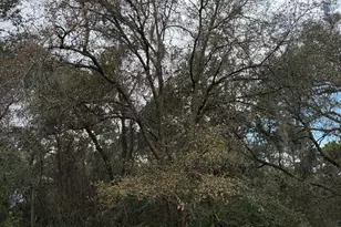 V/L 823 Stern St, Saint Marys, GA 31558 - Photo 1