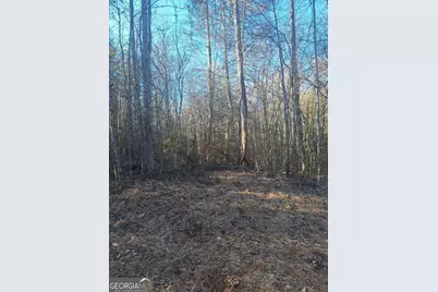 0 Bent Wood Lane, Blue Ridge, GA 30513 - Photo 1